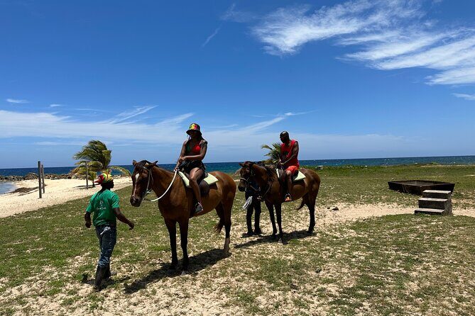Horseback Ride and Swim Guided Tour from Montego Bay - Who Is This Tour Best For?