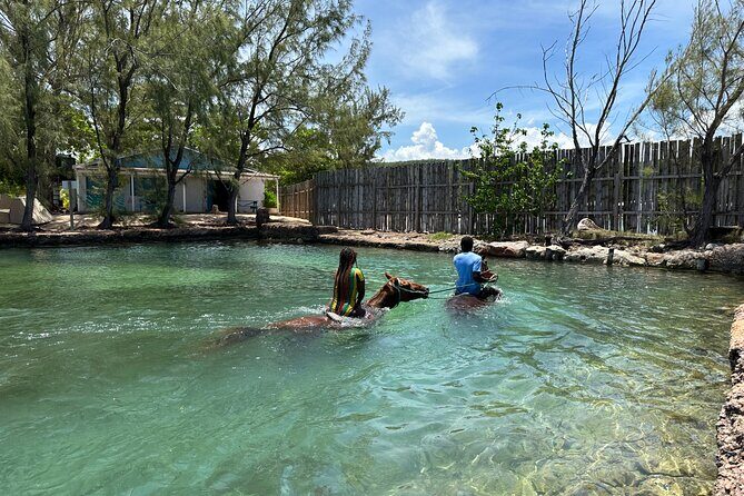 Horseback Ride and Swim Guided Tour from Montego Bay - The Sum Up