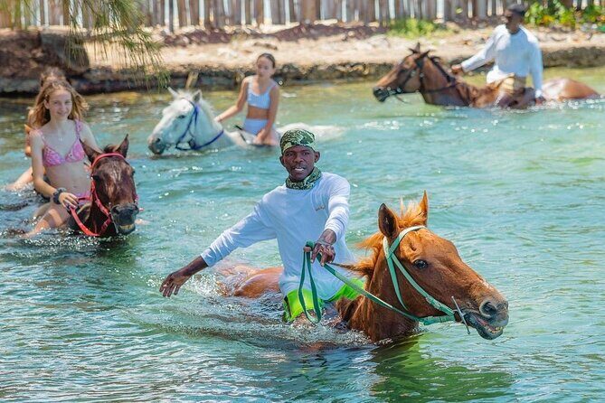 Horseback Ride and Swim Jamaica - An In-Depth Look at the Horseback Ride and Swim Experience