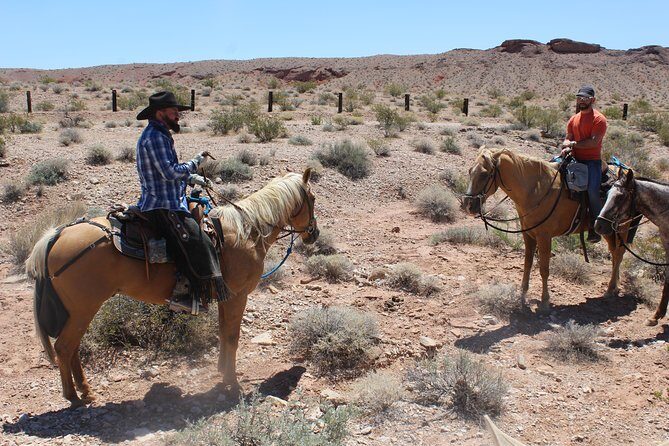 Horseback Ride in Las Vegas - The Experience from the Traveler’s Perspective