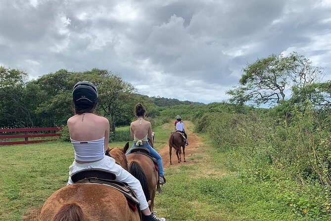 Horseback Ride Like an Authentic Paniolo in Kahuku - Pricing and Value