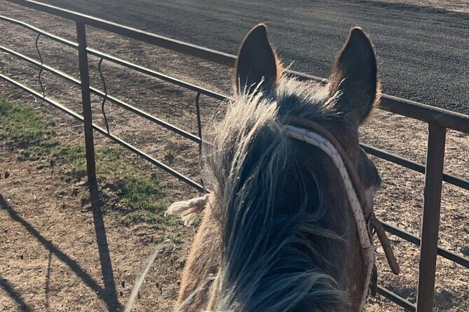 Horseback Ride near the Grand Canyon's West Rim - The Sum Up