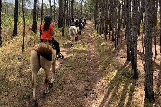 Horseback Ride on Scenic Lake Louisa Trails - An Authentic Look at the Experience