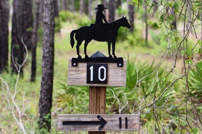 Horseback Ride on Scenic Lake Louisa Trails - Who Will Enjoy This Tour?