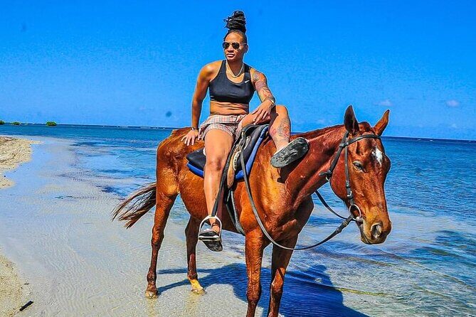 Horseback Ride & Swim Jamaica/Montego Bay - What to Expect from Your Horseback Ride & Swim