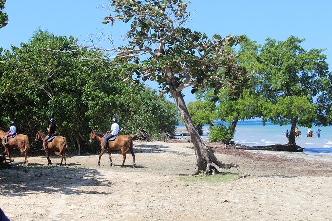 Horseback Ride & Swim Jamaica/Montego Bay - Final Thoughts: Who Will Love This Tour?