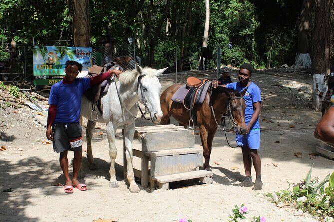 Horseback Ride & Swim Jamaica/Montego Bay - FAQ