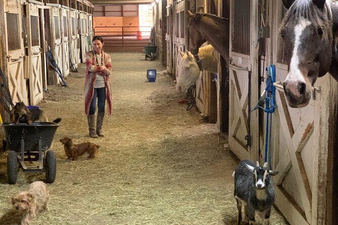 Horseback Rides, Interactions, and Petting Zoo - Who Will Love This Experience?