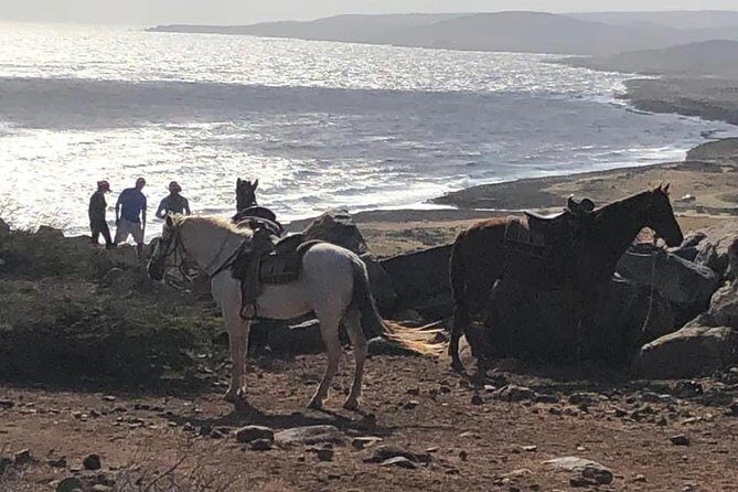Horseback Riding 2 Hr SUNSET , Rock formation & North Coast Ride - A Guide to the Horseback Riding 2-Hour Sunset, Rock Formation & North Coast Ride in Aruba
