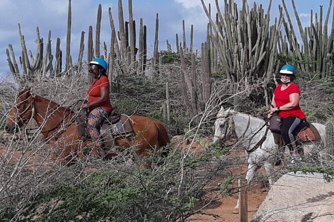 Horseback Riding 2 Hr SUNSET , Rock formation & North Coast Ride - Who Will Love This Tour?