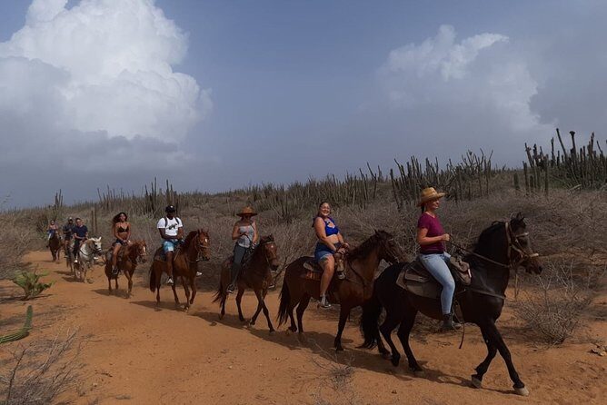 Horseback Riding 2 Hr SUNSET , Rock formation & North Coast Ride - The Sum Up