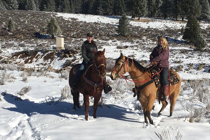 Horseback Riding Adventure from Reno - The Sum Up