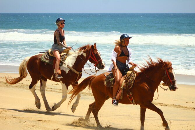 Horseback Riding Adventure in Playa Migriño with Tequila Tasting - An In-Depth Look at the Tour Experience
