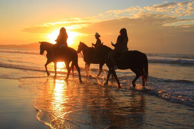 Horseback Riding Adventure in Punta Mita Nayarit - FAQ