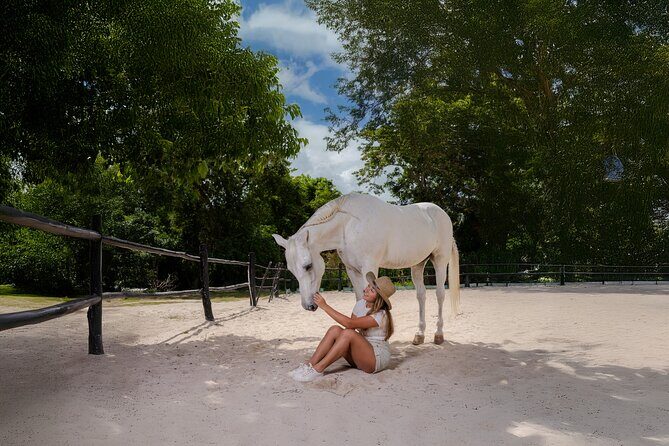 Horseback Riding and Cenote Swim from Cancun or Playa del Carmen - Key Points