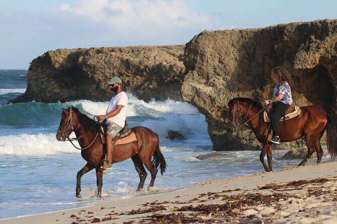 Horseback Riding and Natural Pool Adventure in Aruba - An In-Depth Look at the Tour Itinerary
