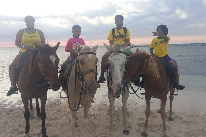 Horseback Riding and Swim Experience - Final Thoughts
