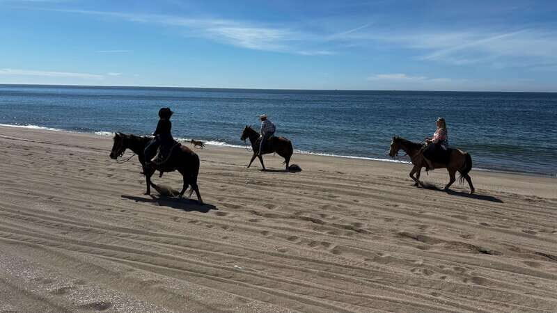 Horseback riding and Temazcal combo with lunch and mezcal - Discovering the Sinaloa Landscape: An Overview