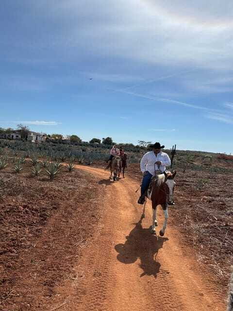 Horseback riding and Temazcal combo with lunch and mezcal - Who Should Consider This Tour?
