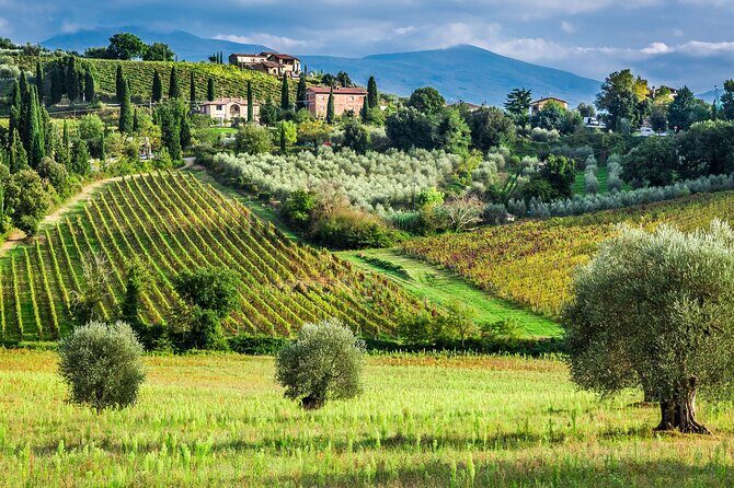 Horseback Riding and Wine Tasting Tour - Key Points