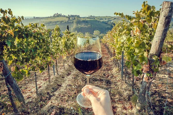 Horseback Riding and Wine Tasting Tour - Final Takeaways