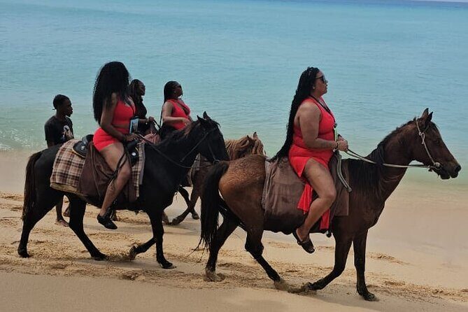 Horseback Riding at Hawksbill Beach in Five islands Antigua - Key Points