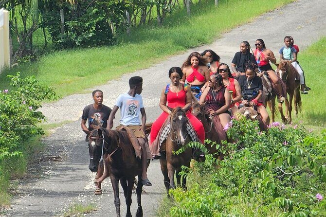 Horseback Riding at Hawksbill Beach in Five islands Antigua - Logistics and Practical Tips