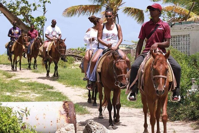 Horseback Riding at Hawksbill Beach in Five islands Antigua - The Experience for Different Travelers