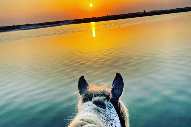 Horseback riding at sunrise 3h - The Itinerary: What to Expect During Your Sunrise Ride