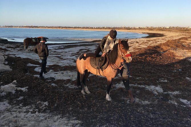 Horseback riding at sunrise 3h - Who Will Love This Tour?