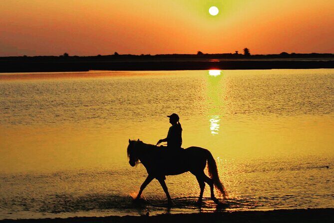 Horseback riding at sunrise 3h - The Sum Up