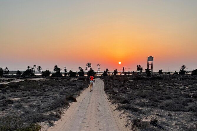 Horseback riding at sunrise 3h - FAQs