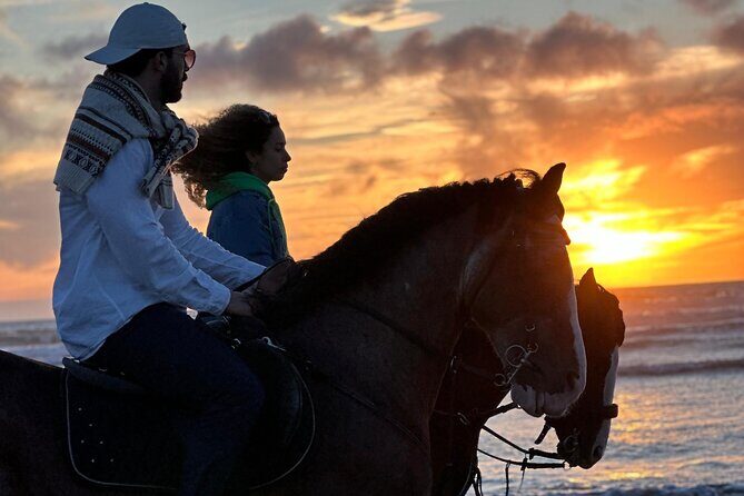 Horseback riding at sunset (2 hours) - A Beautiful Sunset Ride on Horseback in Essaouira: A Practical and Authentic Experience