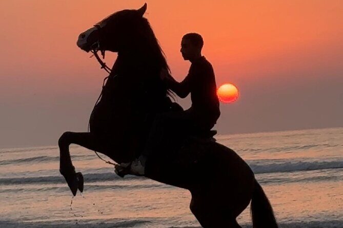 Horseback riding at sunset (2 hours) - The Real Value of This Sunset Horseback Ride
