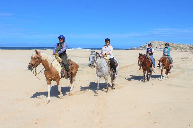 Horseback Riding & ATV Combo! Mountain Trails & Beautiful Beaches of BAJA! - Practical Tips for Booking and Enjoying