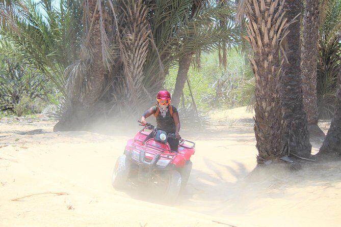 Horseback Riding & ATV Combo! Mountain Trails & Beautiful Beaches of BAJA! - The Transport and Overall Value