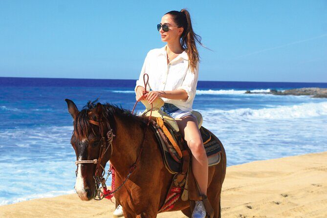 Horseback Riding Beach and Desert Adventure - An Authentic Horseback Riding Beach and Desert Adventure in Cabo San Lucas