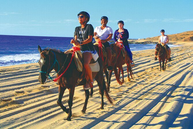 Horseback Riding Beach and Desert Adventure - Who Will Enjoy This Tour?