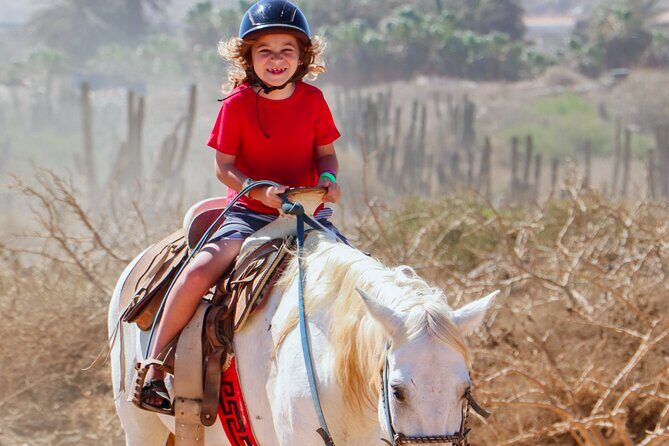 Horseback Riding Beach and Desert Adventure - Final Thoughts: Is It Worth It?