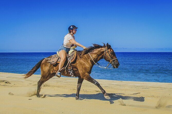 Horseback Riding Beach and Desert in Cabo by Cactus Tours Park - Practical Tips for Participants