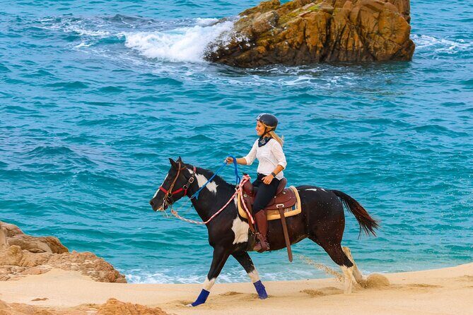 Horseback Riding Beach and Desert in Cabo by Cactus Tours Park - Final Thoughts