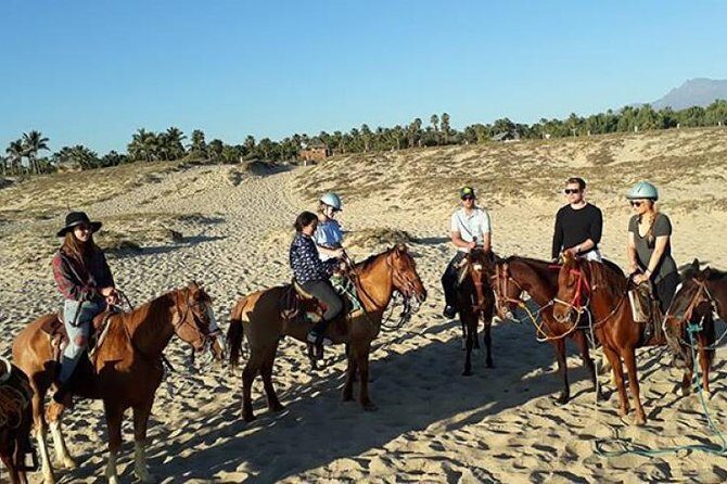 Horseback riding - Key Points