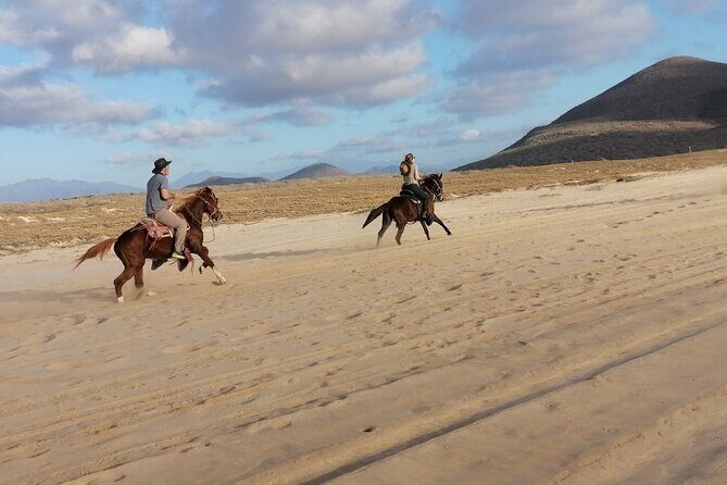 Horseback riding - Why This Tour Offers Good Value