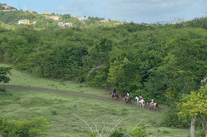 Horseback Riding Experience - What’s Included and What to Bring