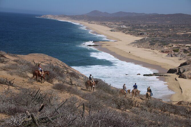 Horseback Riding Experience in Rancho San Cristobal - Key Points