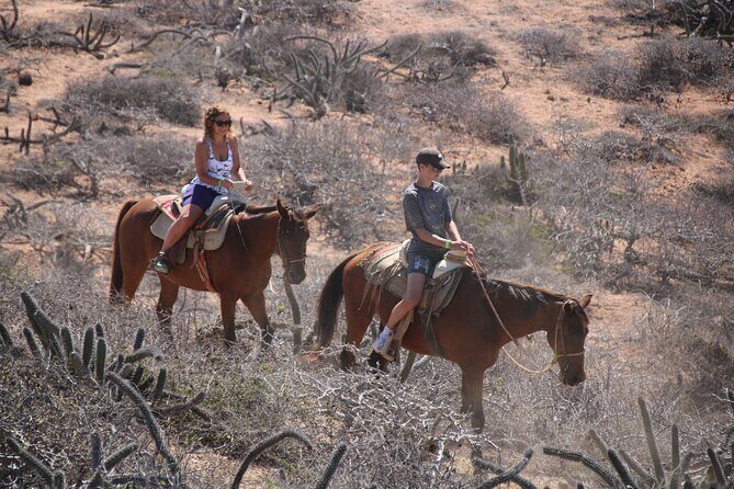 Horseback Riding Experience in Rancho San Cristobal - Who Should Consider This Tour?