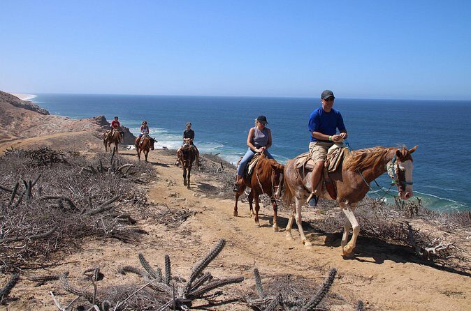 Horseback Riding Experience in Rancho San Cristobal - Final Thoughts