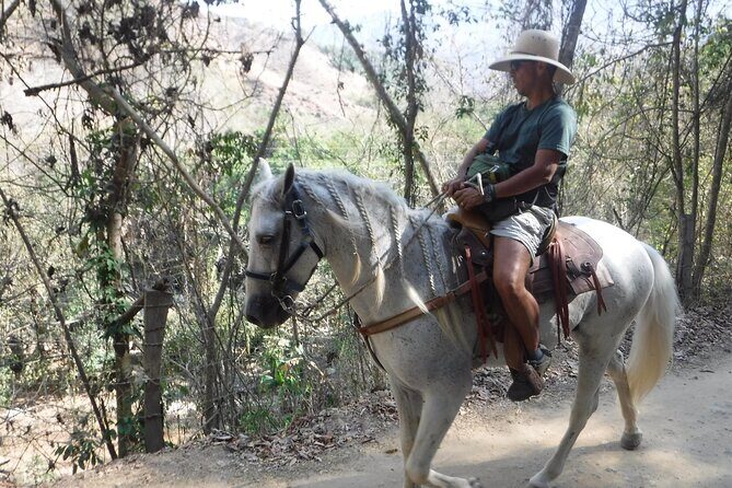 Horseback Riding Experience in Sierra Madre Mountains - Who Will Love This Tour?