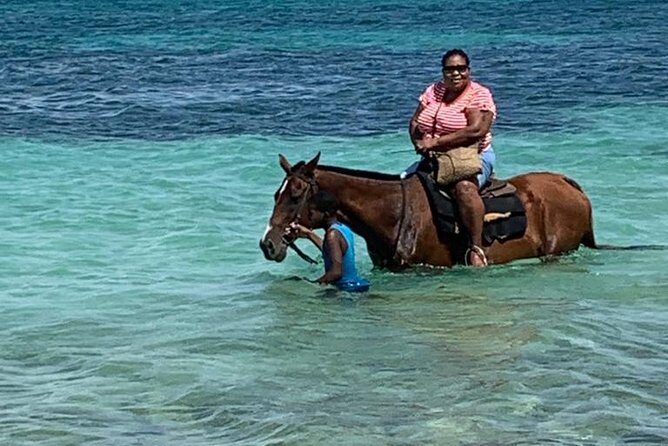 Horseback Riding from Montego Bay - An In-Depth Look at the Horseback Riding Tour