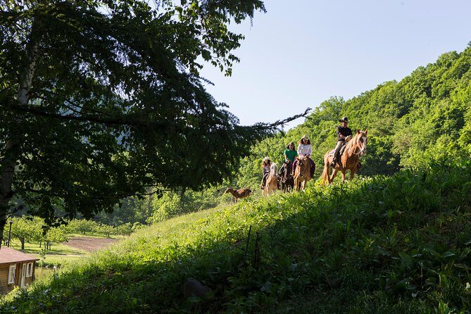 Horseback-Riding in a Country Side in Sapporo - Private Transfer is Included - An In-Depth Look at the Horseback Riding Tour Near Sapporo